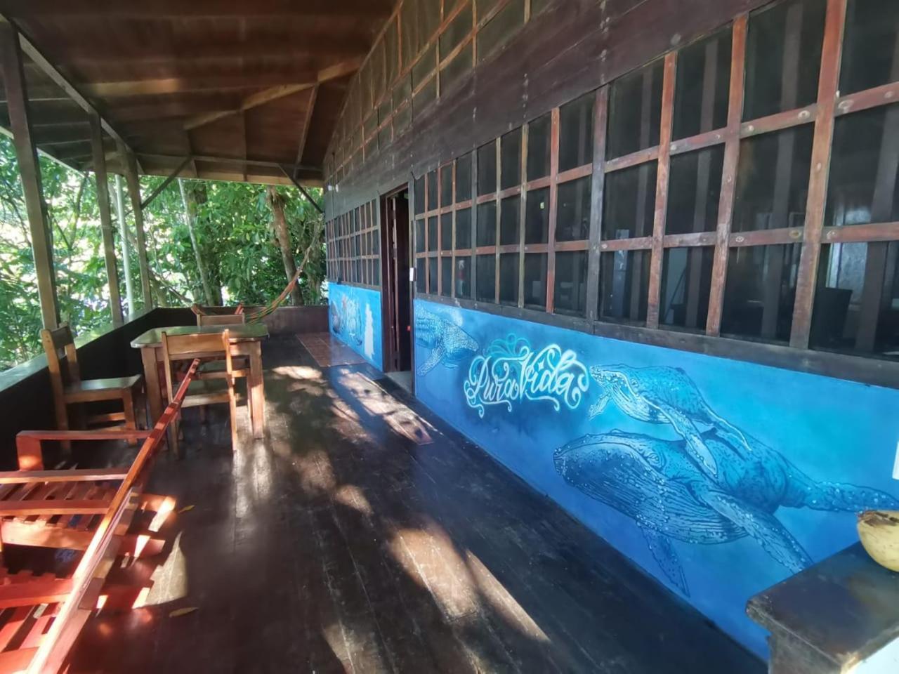 Pirate Drake Beach Hostel & Tour Company Drakes Bay المظهر الخارجي الصورة