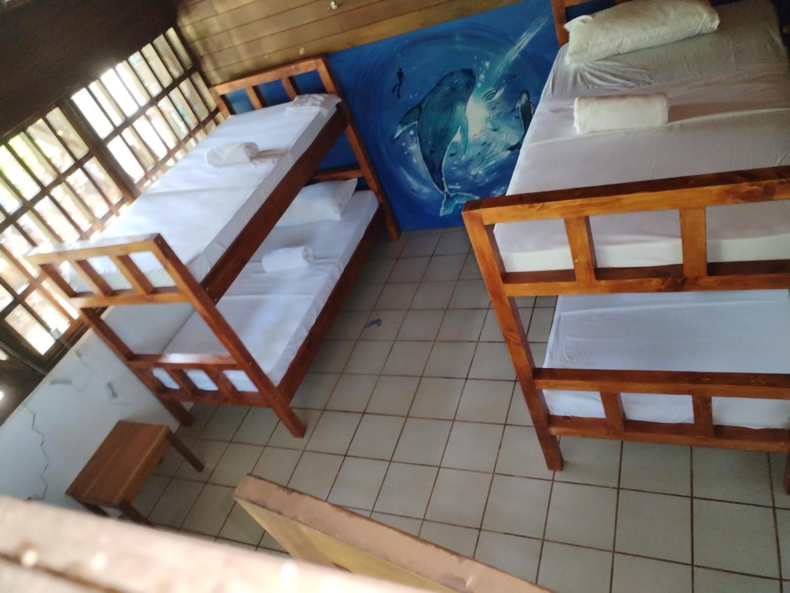 Pirate Drake Beach Hostel & Tour Company Drakes Bay المظهر الخارجي الصورة